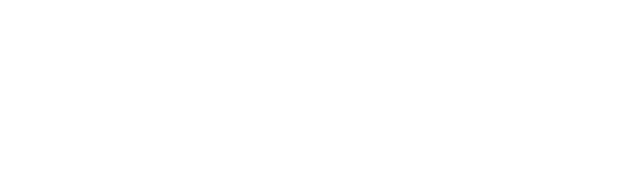 Zindl Beratungsgesellschaft
